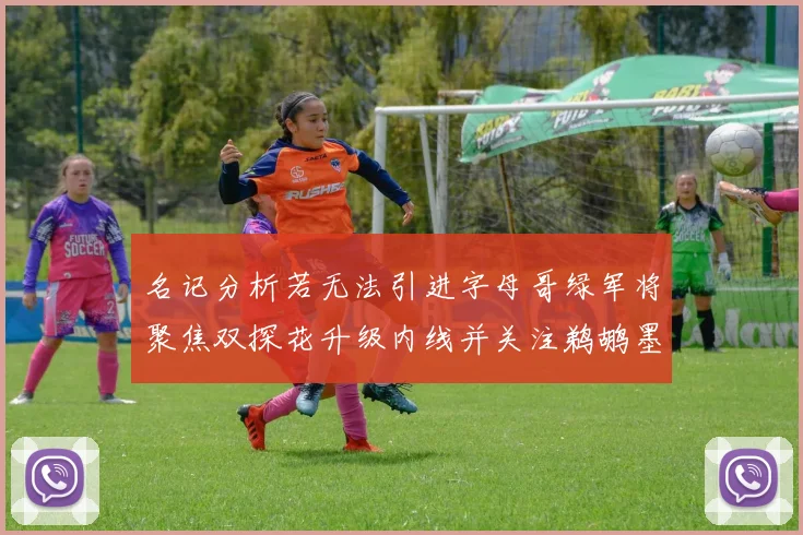 名记分析若无法引进字母哥绿军将聚焦双探花升级内线并关注鹈鹕墨菲
